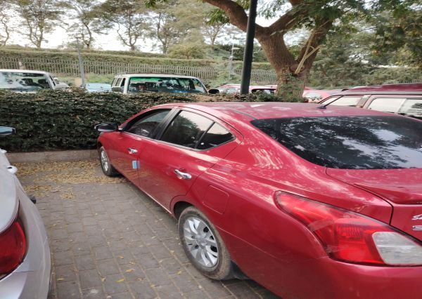 نيسان صني 2025